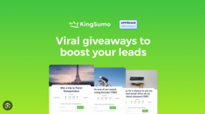 KingSumo Tools Review 2025